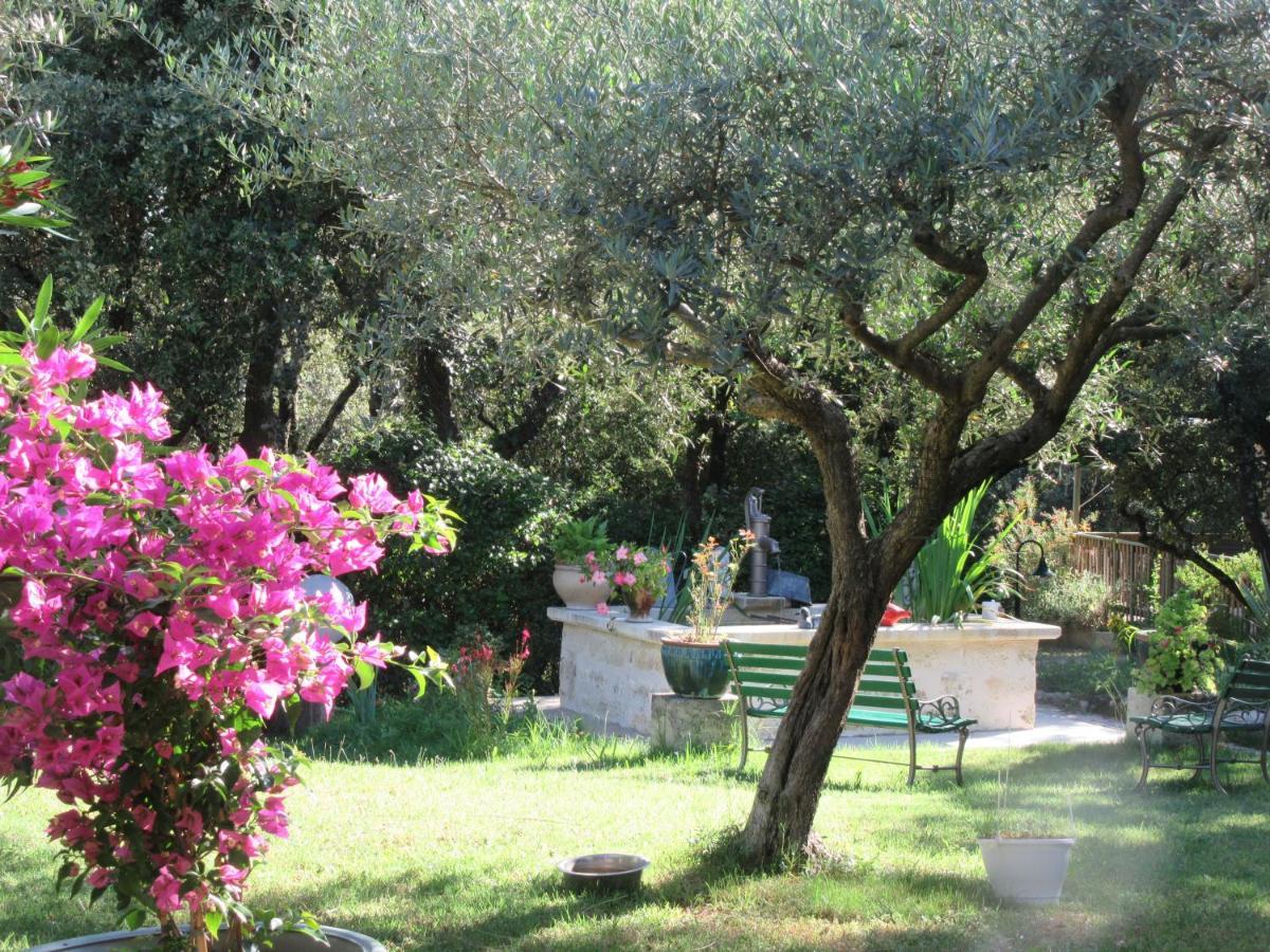 Domaine Du Bois Gite Bleuette Galargues Екстериор снимка