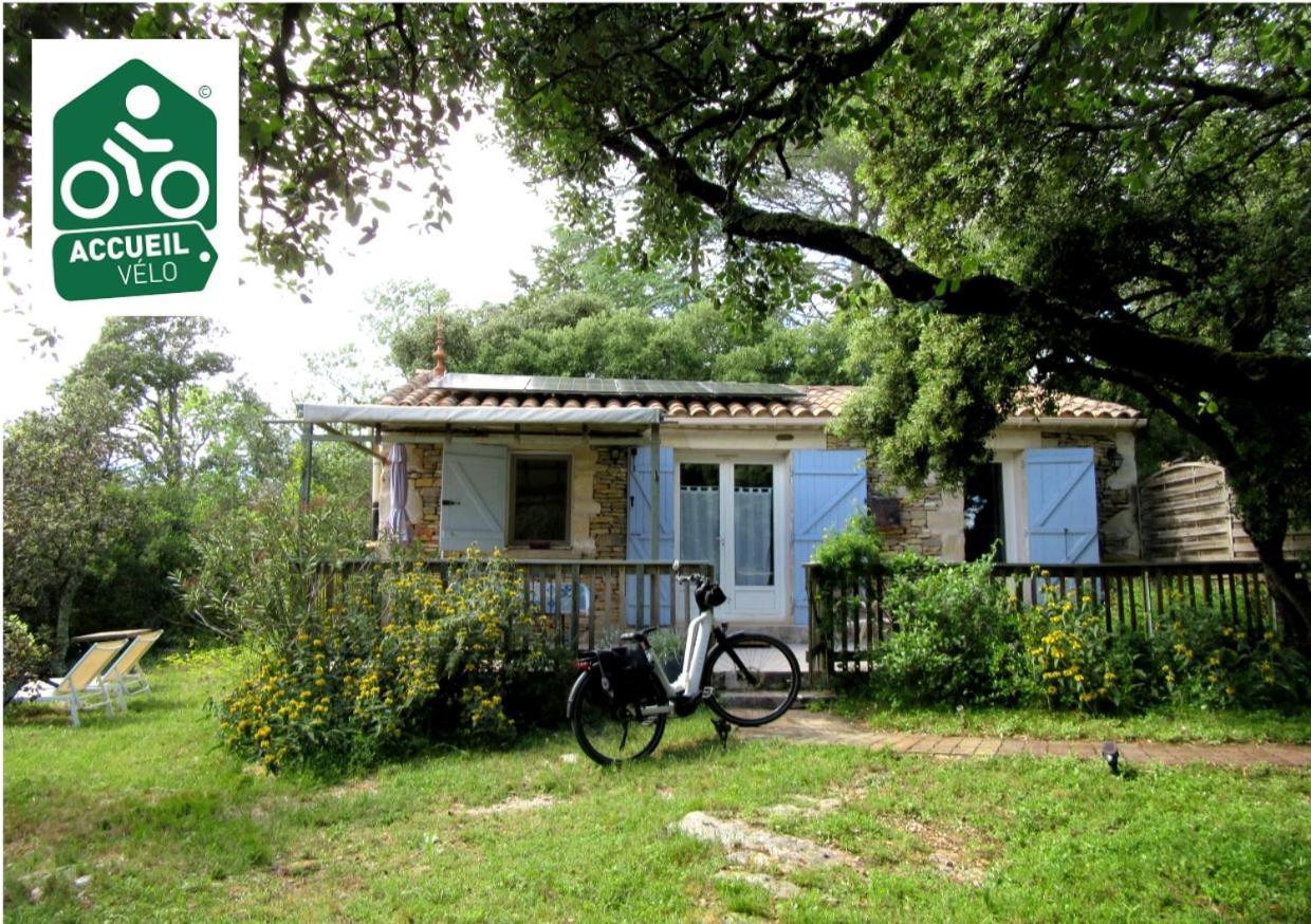 Domaine Du Bois Gite Bleuette Galargues Екстериор снимка