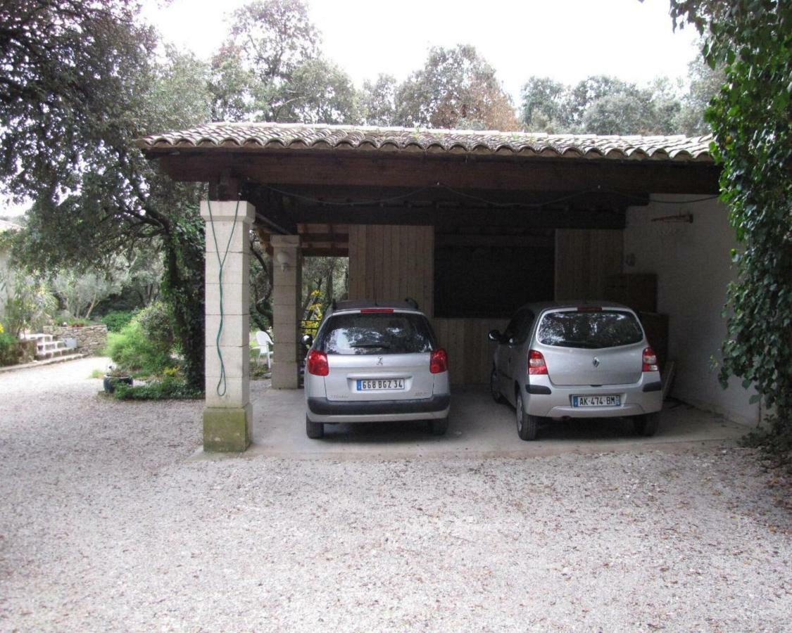 Domaine Du Bois Gite Bleuette Galargues Екстериор снимка